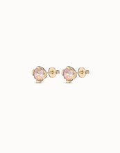 Load image into Gallery viewer, Aura Pink Earrings