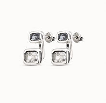 Load image into Gallery viewer, Boa Earrings