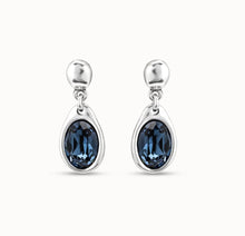Load image into Gallery viewer, Flashes Earrings