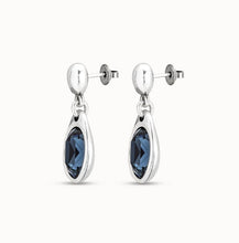 Load image into Gallery viewer, Flashes Earrings