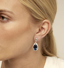 Load image into Gallery viewer, Flashes Earrings