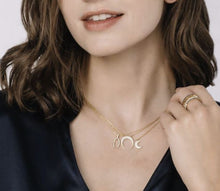 Load image into Gallery viewer, Melrose CZ Crescent Moon Necklace