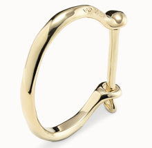Load image into Gallery viewer, Shackled Bracelet