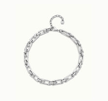 Load image into Gallery viewer, Splendid necklace silver