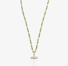 Load image into Gallery viewer, Gold toggle Necklace