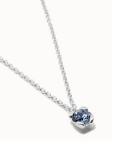 Load image into Gallery viewer, Sterling silver-plated necklace with blue crystal